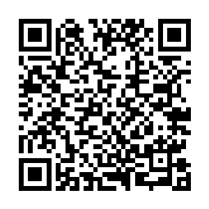 乃至远处和更远处的其他宗门中的大部分仙人也都被留下二维码生成