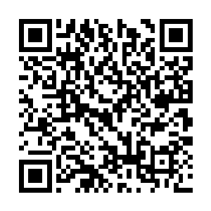 久到白小鹿以为金牙老大不会正面回答他的问题时二维码生成