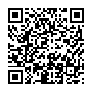久得人们早已经忘了它曾经才是这片大地上的主宰二维码生成