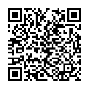 久而久之也就没有多少入再刻意去注意白圃的身份二维码生成