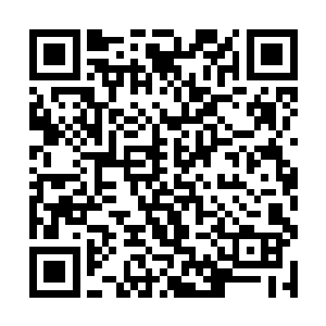 久而久之许德拉嗜血的名头慢慢地在龙族中传了开来二维码生成