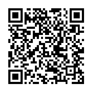 久远的记忆让他觉得省歌舞团都是不食人间烟火的仙女二维码生成