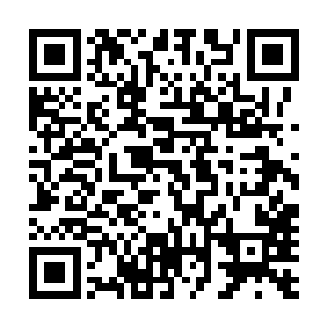 之中出色的表演让雨果成为了今年影帝奖项的最有力争夺者二维码生成