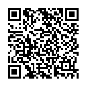 之中有出色表现的亚历克斯显然得到了不少关注二维码生成