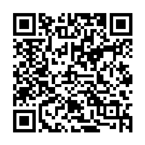 之前一个广告一个片约都没接过的李念薇想都没想二维码生成