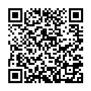 之前一直在河滩城附近出没的妖神执行者全部被歼灭二维码生成