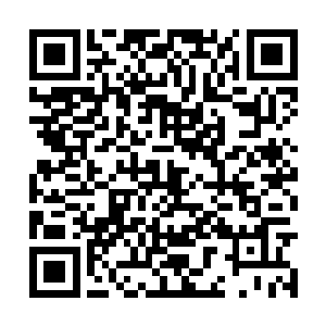 之前一直存在怀疑状态之中的美姬总算明白了起来二维码生成