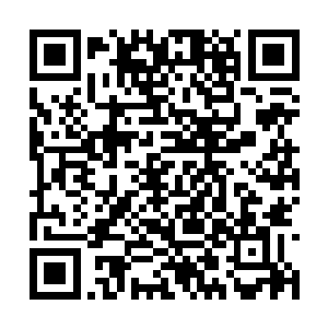 之前上路那一波是因为陈诚是从自家二塔绕过去的二维码生成