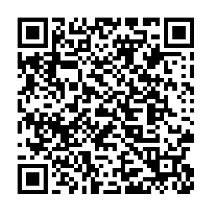 之前从相遇后就维持了贵族清冷而优雅风度的名剑此刻终于有了反应二维码生成