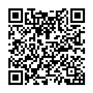 之前他对罗林的印象只是一个水性非常不错的少年二维码生成