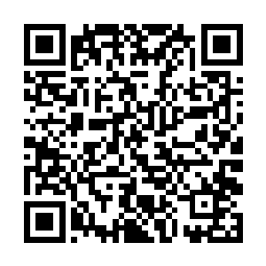 之前他就使用了这件宝物隐身然后悄悄偷袭了小松鼠二维码生成