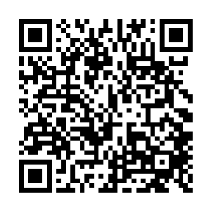 之前他就是因为这里的虫族数量多才感觉到自豪二维码生成