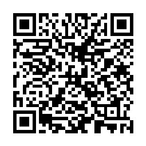 之前他看到网站上有打赏的一百万人民币已经是顶天了二维码生成