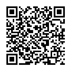 之前他还担心轩辰公子会送什么让人无法拒绝的礼物二维码生成