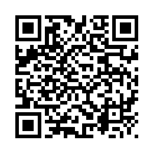 之前他都已经传输给了小苏和小光二维码生成