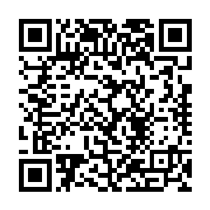 之前仗着九劫不空化形神通劫他侥幸踏入了神王层次二维码生成