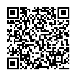 之前似乎已经从其他渠道听说过他高价收购石湖寒液的事情二维码生成