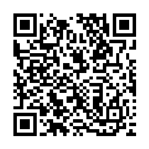 之前你不是要我注意一位池莉么……刚才在你处理此事的时候二维码生成