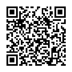 之前信誓旦旦说好会在原地等自己的蝶――消失了二维码生成