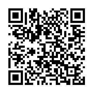 之前出现的那片绿林似乎是这个世界中唯一的绿洲二维码生成