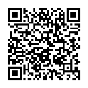 之前分析凶犯使用肉冻代替j液出于心理学上特殊的移情二维码生成