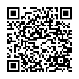 之前利用货轮自带的十吨二十吨级吊车放进货舱的大象二维码生成