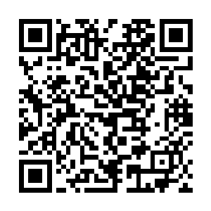 之前双塬区委和双塬镇党委政府因为方案初稿尚未出来二维码生成