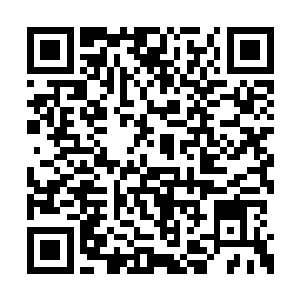 之前吓走深渊魔虎和通天猿的似乎就是来自于它二维码生成