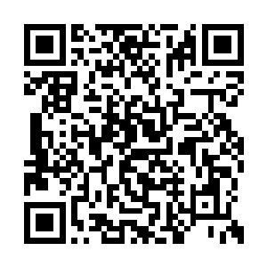 之前听到高慧姐姐她们说你独自去寻找西门辰了二维码生成