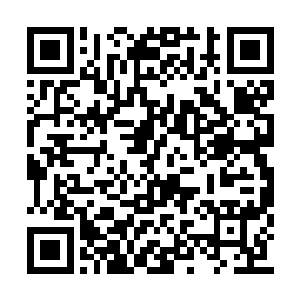 之前吴伟民执意要他赔偿也不过是想让他出点丑二维码生成