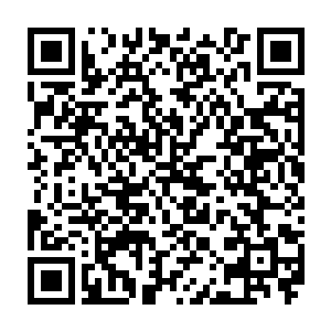 之前和松口家素不相识的浅冈贵和新合真哉为什么要来告诉松口家这些呢二维码生成
