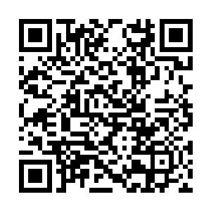 之前唐晓菲可是告诉我她父亲一般只有在过年回来二维码生成