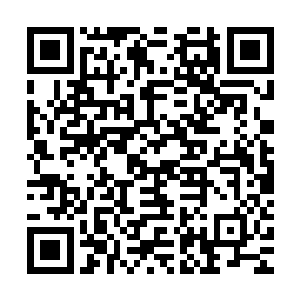 之前喊救命的中年妇女抱着一个披着毛巾的小孩走到郭嘉的身前二维码生成