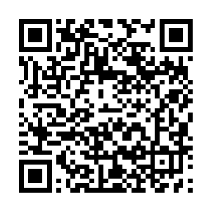 之前四级骨器师报出的三千一百骨币的高价很快就被超过二维码生成