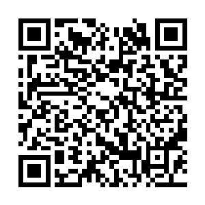 之前因为还魂曲的问题而暴漏了凤幽萝的真正秉性二维码生成