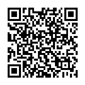 之前在大殿之中出现的姚远的身影居然只是一个分身二维码生成