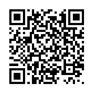 之前在殿内镇守的两位老者纷纷现身二维码生成