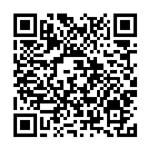 之前在镇国将军府我就发现有人在暗处看着我们了二维码生成