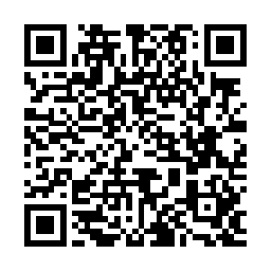 之前在feel岛上成功的经验在这些建筑师眼里就很有说服力了二维码生成