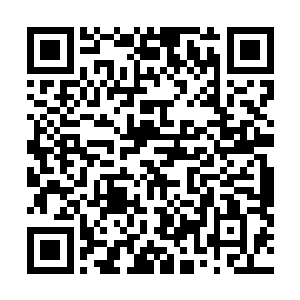 之前城主府跟着出来给他们驾车的侍从只立即飞奔了过来二维码生成