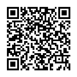 之前大家就隐隐有些怀疑是不是六圣中的某人来了二维码生成