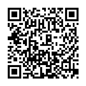 之前她对于规劝罗伯还有那么一些犹豫的话……二维码生成