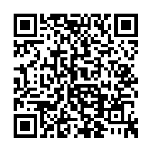 之前她恢复好了也不会第一时间对怒焰痛下杀手二维码生成