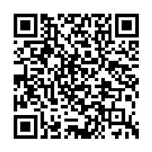 之前她说破了谢甲把昏迷的阿红当试验品做实验二维码生成