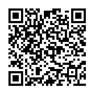 之前小克大人您也没说您姐姐是苏落啊……大名鼎鼎的苏落二维码生成