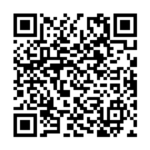 之前就是她将楚枫为小鱼儿打造的结界铠甲取走了二维码生成