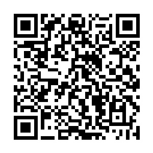 之前开口羞辱张怡蓝的那个年轻男子的话还没有说完二维码生成