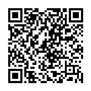 之前徐成的力量修复都是靠着体内那蚀心草的融化而修复的二维码生成