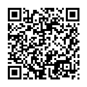 之前感觉嫉妒的众年轻女子一个个仿佛疯狂了一般二维码生成