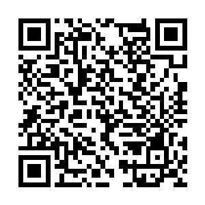 之前我予你那部五毒秘术若是确认完全融会贯通了二维码生成